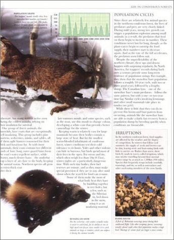Animal: The Definitive Visual Guide to the World's Wildlife - Thumbnail 2