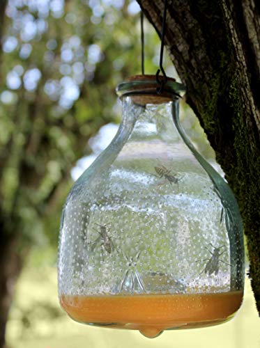 Darware Glass Wasp Traps (2-Pack); Wasp Catchers for Garden and Home Use