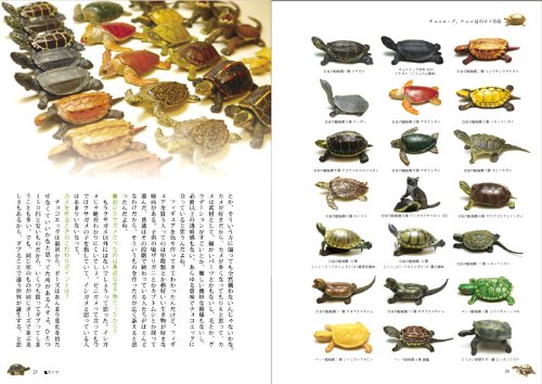 カメが好き かめ亀kame図鑑 P Vine Books みのじ 本 通販 Amazon