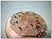 Jet New Crystal Quartz Orgone Vastu PlateFree Booklet jet International Crystal Therapy Energy Generator Crystal IMAGE IS JUST A REFERENCE