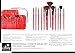 SHANY Professional 12 - Piece Natural Goat and Badger Cosmetic Brush Set with Pouch - Red
