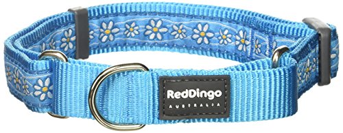 Red Dingo Martingale Daisy Chain Collar, Large, Turquoise