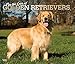 For the Love of Golden Retrievers 2020 14 x 12 Inch Monthly Deluxe Wall Calendar with Foil Stamped C by