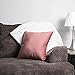 Plain Throw Pillow Cushion Inserts: White Square Throw Pillows for Couch, Sofa, Bed - 20 Inch x 20 Inch Pillow Insert, Set of 2 - Euro Accent Pillow Stuffers for Sham Covers - Large Filler Cushions
