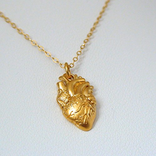 Gold Plated Sterling Silver Anatomical Human Heart Charm Necklace, 18
