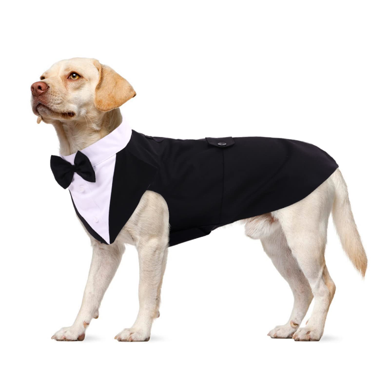 Formal Dog Tuxedo - Black, XL - Wedding, Christmas, Halloween Outfit - Small Dog Clothes - Birthday Bandana - Fancy Dress Costume — image 1