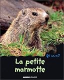 La petite marmotte by