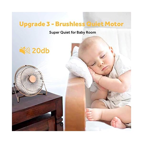 EasyAcc USB Desk Fan 6 Inch Desktop Silent Fan Air Circulator 2 Speeds 360° Rotation Brushless Motor Noiseless for Home…