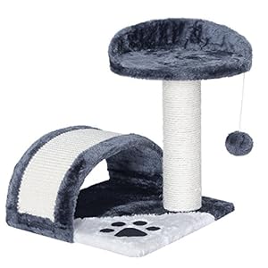 Songmics Arbre A Chat Griffoir Grande Niche En Arc Pct09g Tres Bon Article