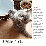 Image de 365 Cats Color Page-A-Day Calendar 2016