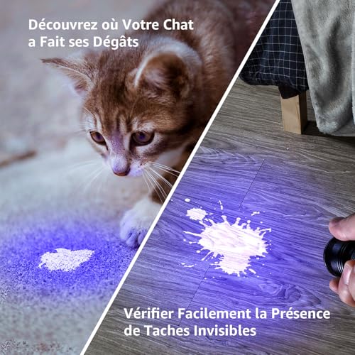 Lighting EVER Lepro UV Lamp, 395nm UV LED Black Light Ultraviolet Light, 6 AAA Batteries Included for Fluorescent Tracers Dog Cat Mat Urine Detector Scorpion Checks Money, Pack of 2