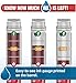 EXPO Dry Erase Markers with Ink Indicator, Chisel Tip, Assorted Colors, 6 Pack