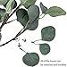 CEWOR Artificial Silver Dollar Eucalyptus Stems 6pcs Artificial Eucalyptus Leaves Fake Plants Artificial Leaves for Home Decoration