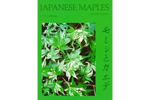 Japanese Maples: Momiji and Kaede