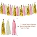 Paxcoo Pink and Gold Birthday Decorations with Birthday Banner Balloons Tissue Flowers Paper Lanterns Fringe Curtain for Baby Shower Girls 1st Party