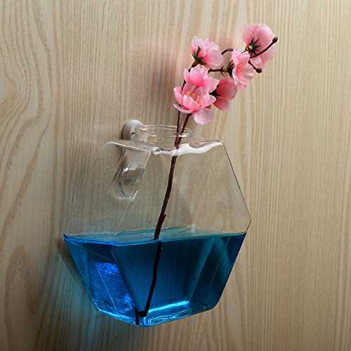 Cathery Hanging Glass Vase Decorative Fish Terrarium Flower Planter Container Diameter 15x16cm Home Decor Hexagonal Wall Sticked Ornaments