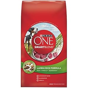 Purina ONE SmartBlend Lamb & Rice Formula Dry Dog Food