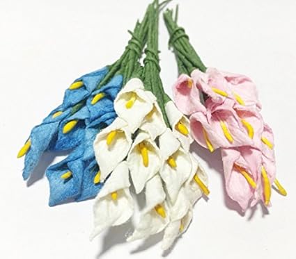 Amazoncom Studio One Beautifull Mini Calla Lily Mixed 3