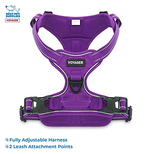 Voyager Dog Harness Dual Leash Attachment NoPull Control Adjustable