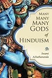 Many Many Many Gods of Hinduism: Turning believers into non-believers and non-believers into believers