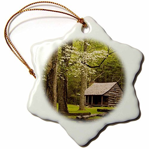 Amazon Com Tennessee Great Smoky Mountain Np Cades Cove Cabin