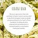 Explore Cuisine Organic Edamame Spaghetti - 8 oz, Pack of 2 - Easy-to-Make Pasta - High in Plant-Based Protein - Non-GMO, Gluten Free, Vegan, Kosher - 8 Total Servings
