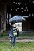 Western Chief Boys Kids Character Umbrella
