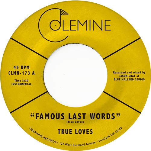 Album Art for Famous Last Words by True Loves