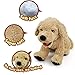 LotFancy Dog Stuffed Animals, 12 inch Cuddly Golden Retriever Stuffed Animals, Sitting Puppy Dog Plush Toy, Birthday Gift for Kids Boys Girls