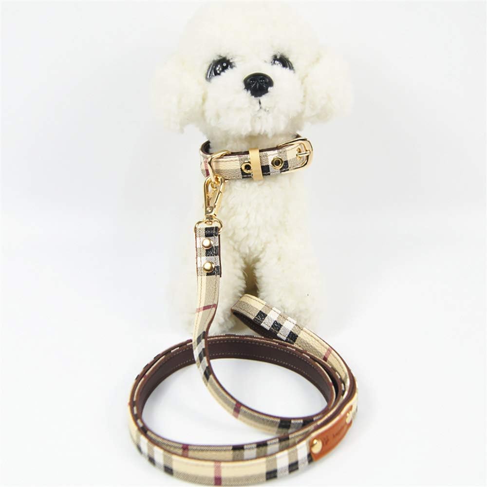 e collari per piccole medie imprese