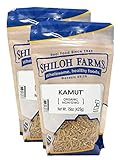 Shiloh Farms - Organic Kamut Grain 15 Ounce - 2 Pack