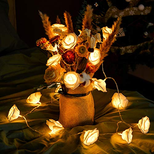 LOLStar Valentine\'s Day String Lights 10FT 20 LED Rose Flower LED Lights Battery Operated for Wedding Party Birthday Girl\'s Bedroom Indoor Decorations Large Rose Diameter 2.7inch (White)