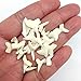 PEPPERLONELY 25 PC Mako Shark Teeth for Making Shark Teeth Necklace, Beach Crafts Coastal Décor, 3/8 Inch ~ 1/2 Inch
