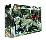 qiaoyun Dino Fossil Dig kit Toys，DIY Puzzle Dinosaurs Science Education Toys Assembly Kit.(T-rex)