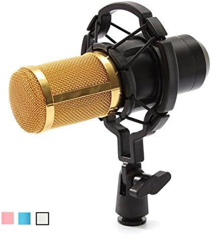 BM800 Recording Dynamic Condenser Microphone with Shock Mount (Random: Color)