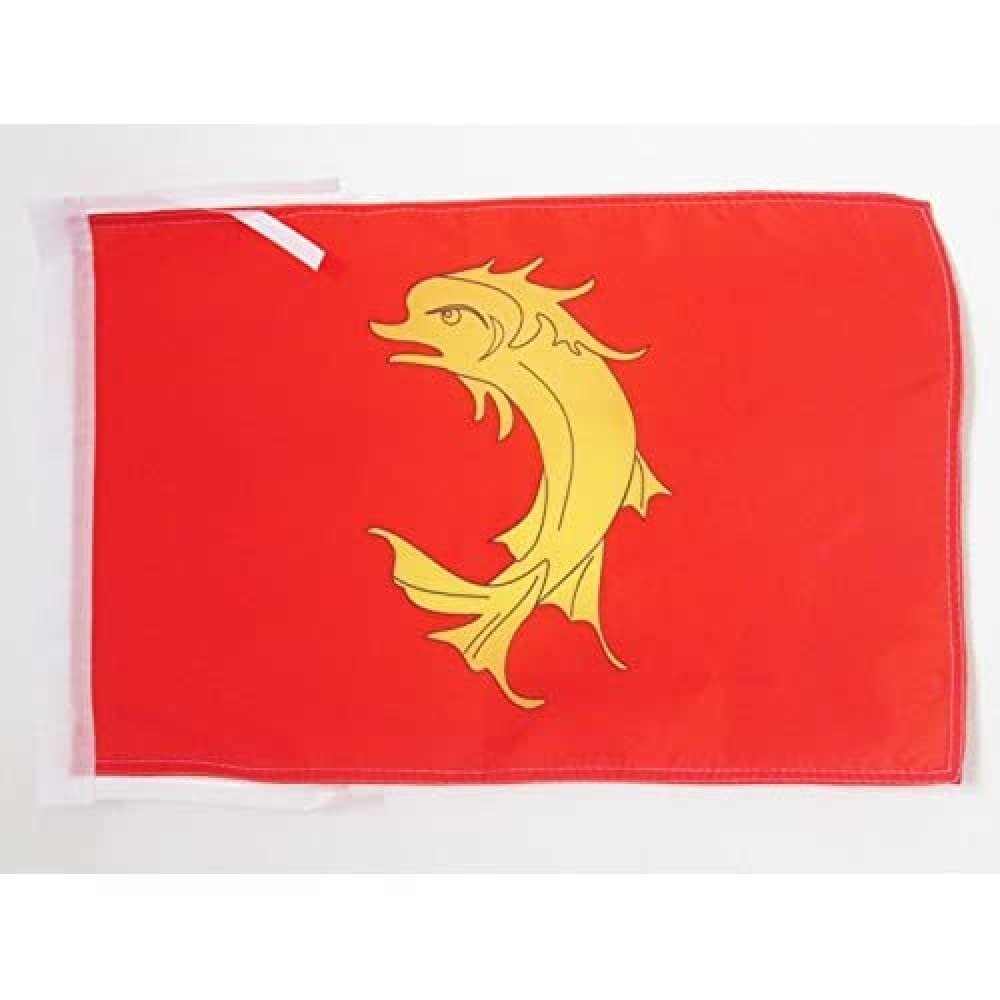 AZ FLAG - County of Forez Flag - 18'' x 12'' - 100% Polyester Saint-Etienne - Forez Small Banner with Two Cords - Fade Resistant - Vivid Colors - 18x12 in - 45x30 Cm — image 1