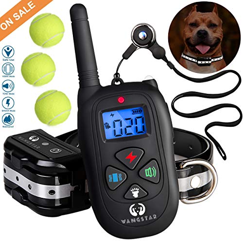 boundary dog shock collar buyer's guide