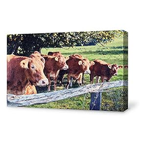 Canvas Wall Art for Living Room,Bedroom Home Artwork Paintings Cow Ready to Hang - 12x18 inches