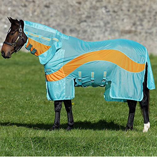 amiGO Evolution Fly Sheet 81 Aqua/Orange