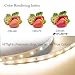 HitLights LED Strip Lights Warm White 3000K, 10ft High Density 12V Tape Light, 360 LEDs, 530 Lumens/ft, 4.6 Watt/ft, IP30, Lighting for Cabinet, Bedroom, Kitchen, UL-Listed(Power Source Not Included)