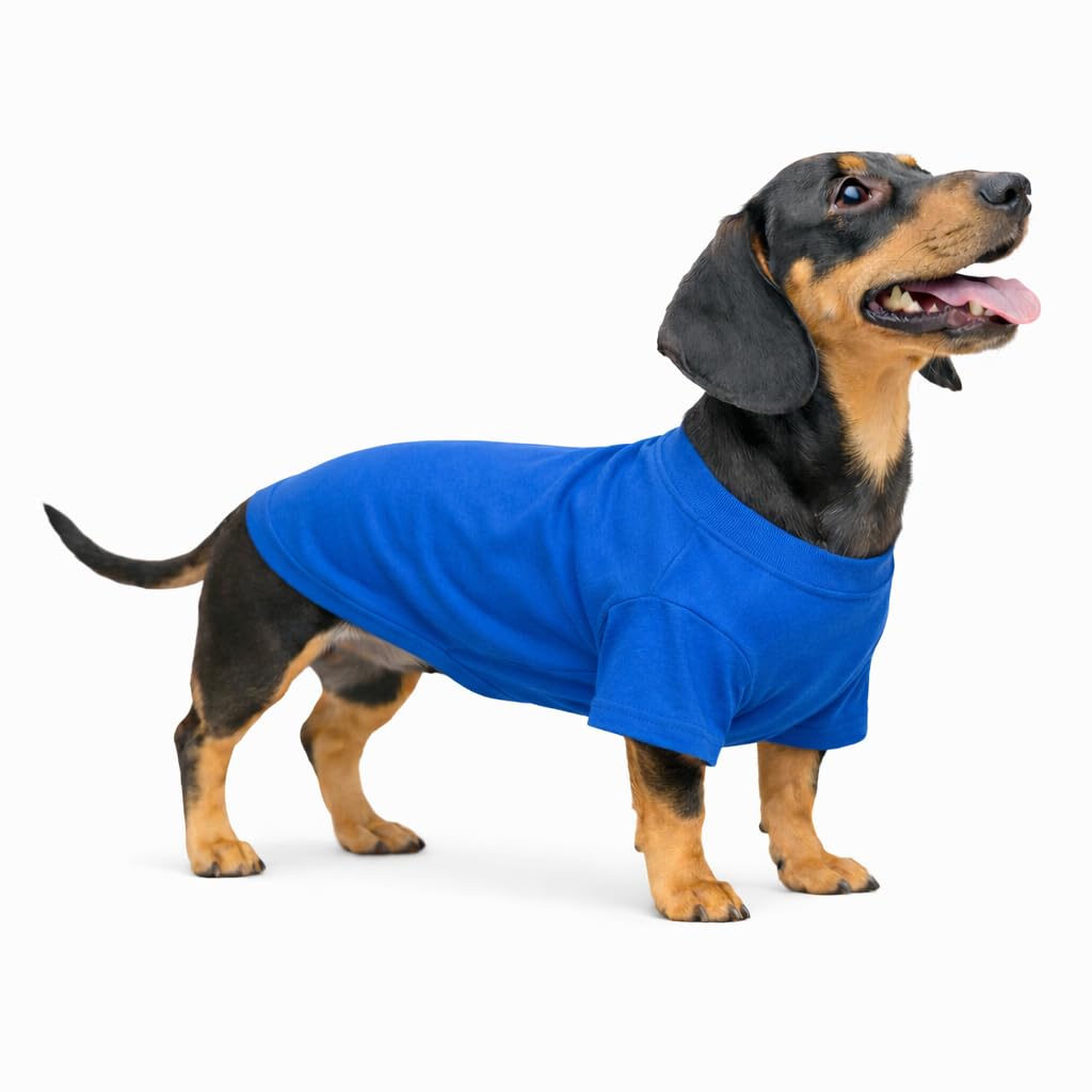 Lovelonglong Pet Clothing Dog Costumes Dachshund Clothes Blank T-Shirt Tee Shirts for Dachshund Dogs,Corgi 100% Cotton Blue D-S