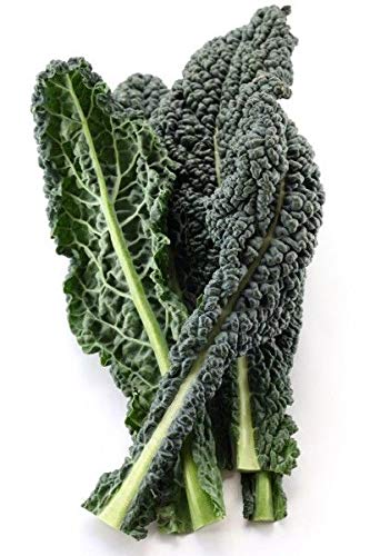 Portal Cool Tuscan Palm Cabbage 40 Seeds