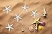Anyumocz 40 Pcs Starfish White Resin Pencil Finger Sea Star for Wedding Party Christmas, Home and Craft Project