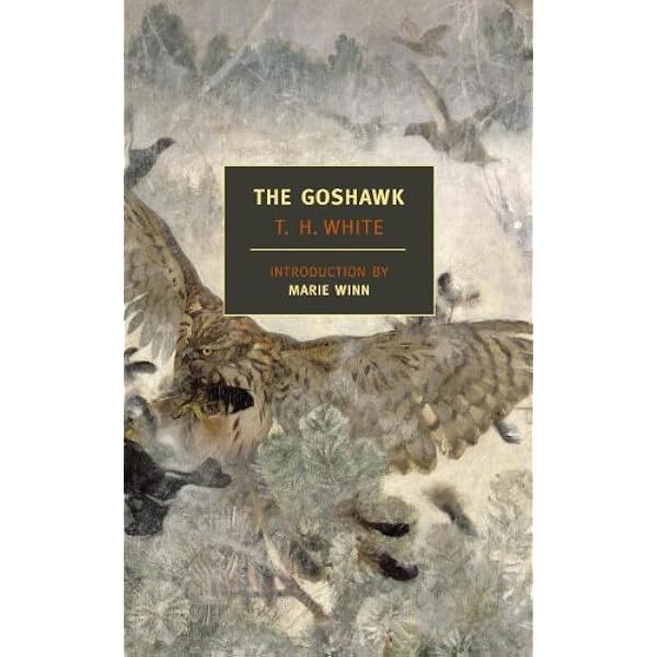 希少　The Age of Scandal T.H. White The Age of Scandal – T H White – Ramblings on my bookshelves
