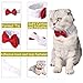 Bolbove Adjustable Formal Pet Bowtie Collar Neck Tie for Dogs & Cats (Small, Red)