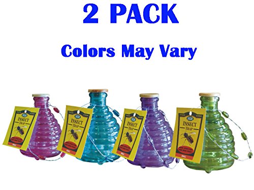Springstar Gfft1 Glass Fruit Fly Traps Springstar Gfft1 Glass Fruit Fly Traps