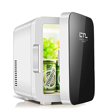 WJSWBX Refrigerador para automóvil con refrigeración 6L, Auto frío ...