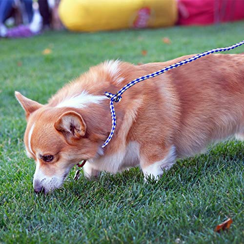 slip leashes for dogs bulk