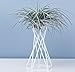 Pack of 2 Tabletop Metal Air Plant Holders Air Plant Stands Air Plant Containers Air Plant Racks Tillandsia Stands Tillandsia Holders Tillandsia Racks (White)thumb 2