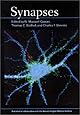 Synapses